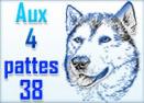 Logo AUX 4'PATTES 38