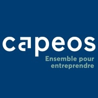 Logo CAPEOS CONSEILS