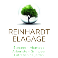 Logo ISMAEL REINHARDT