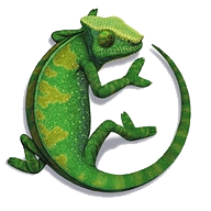 Logo IGUANE INFORMATIQUE