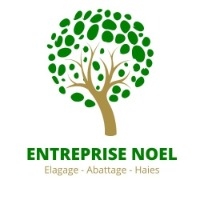 Logo NOEL ADEL