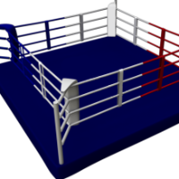 Logo BOXING CLUB ANGERS SAINT AUBIN