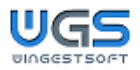 Logo WINGESTSOFT