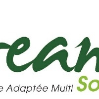 Logo DREAM SOLUTIONS