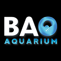 Logo ASIA IMPORTATION