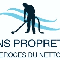 Logo LNS PROPRETE