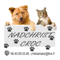 Logo NAD-CHRIST-CROC