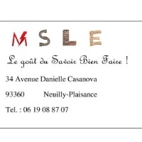 Logo M.S.L.E