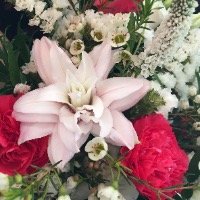 Logo PASCALE VRIGNAUD